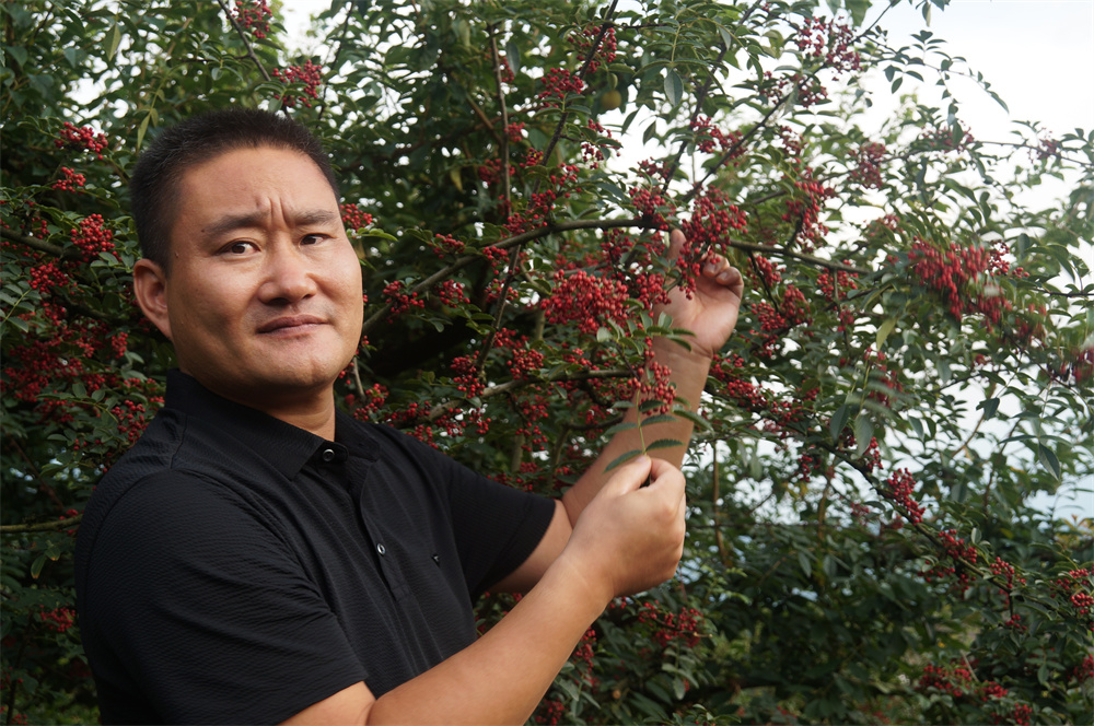 尊龙官方网站2022大事记